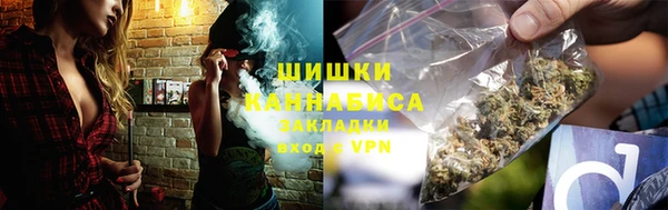 хмурый Гусь-Хрустальный