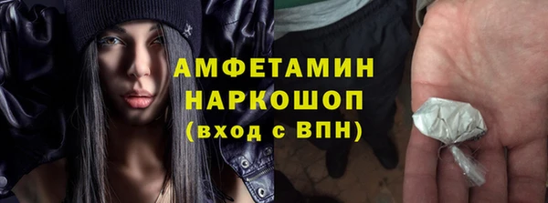 хмурый Гусь-Хрустальный