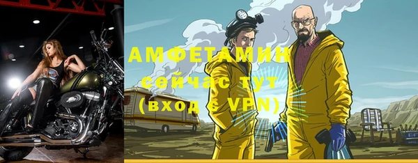 хмурый Гусь-Хрустальный