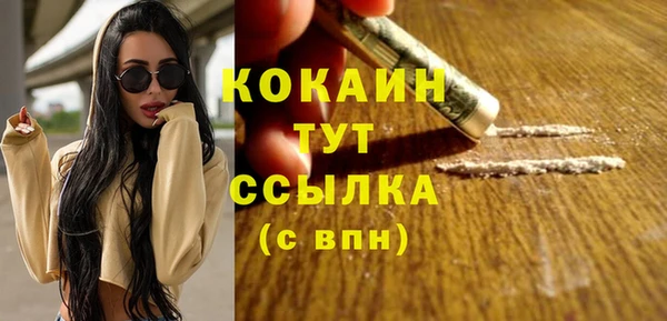 хмурый Гусь-Хрустальный